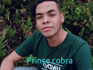 Prince_cobra