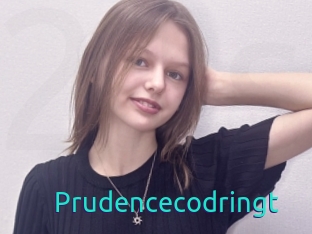 Prudencecodringt