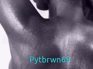 Pytbrwn69