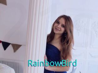 RainbowBird