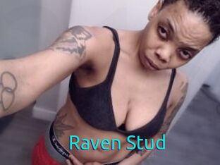 Raven_Stud