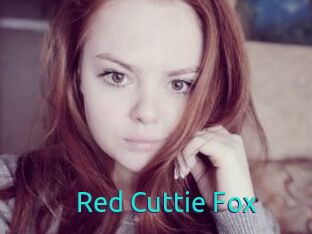 Red_Cuttie_Fox