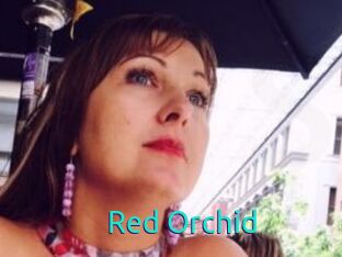 Red_Orchid