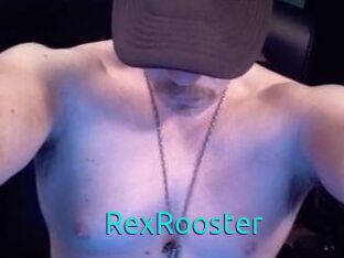 RexRooster 21 sextury Link
