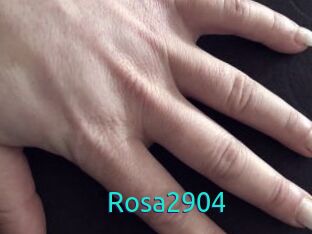 Rosa2904