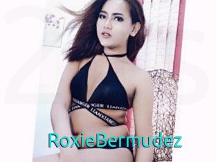 RoxieBermudez