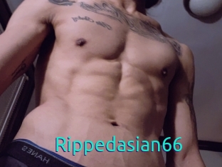 Rippedasian66