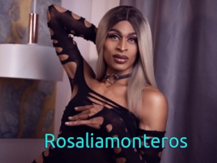 Rosaliamonteros