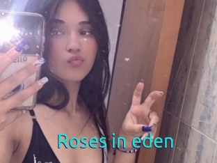 Roses_in_eden