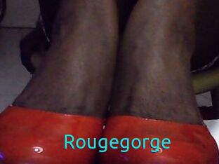 Rougegorge