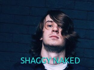 SHAGGY_NAKED