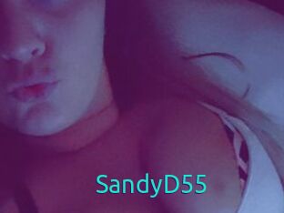 SandyD55