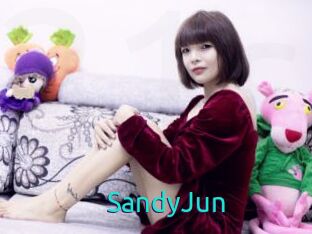 SandyJun