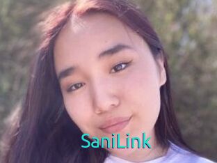 SaniLink