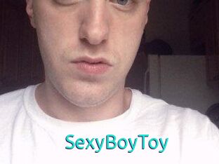 SexyBoyToy