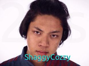 ShaggyCozzy