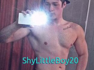 ShyLittleBoy20