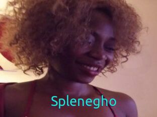 Splenegho