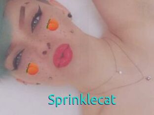 Sprinklecat