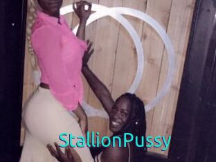 StallionPussy