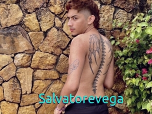 Salvatorevega