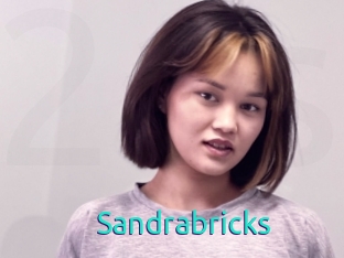 Sandrabricks