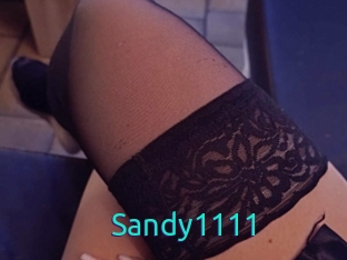 Sandy1111