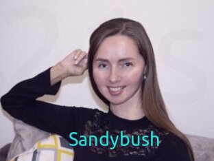 Sandybush