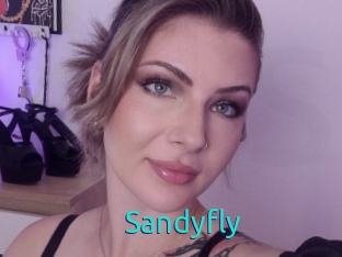 Sandyfly