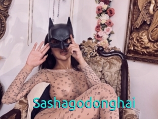Sashagodonghai