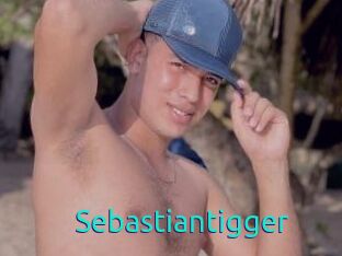 Sebastiantigger