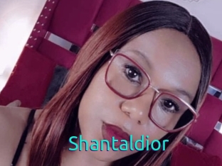 Shantaldior