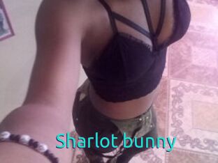 Sharlot_bunny