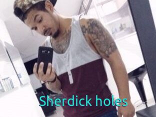 Sherdick_holes