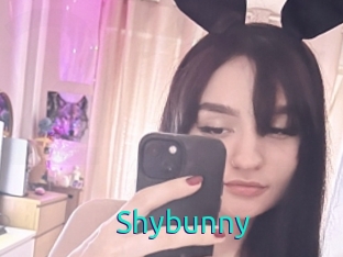 Shybunny