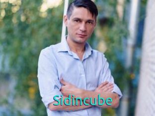 Sid_incube