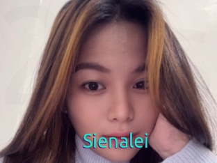 Sienalei