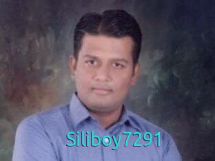 Siliboy7291