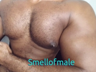 Smellofmale