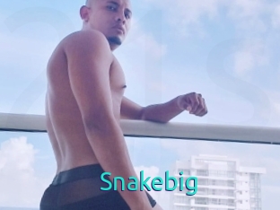 Snakebig