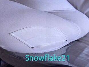 Snowflake21