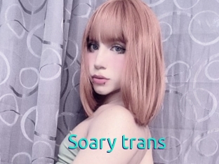 Soary_trans