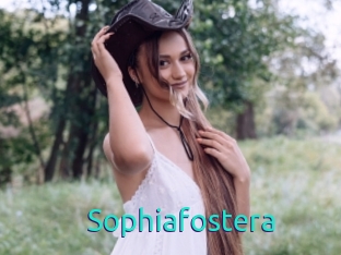 Sophiafostera