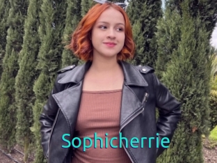 Sophicherrie