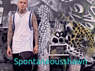 spontaneousshawn 21 sextury Link