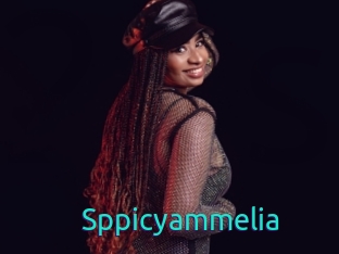 Sppicyammelia