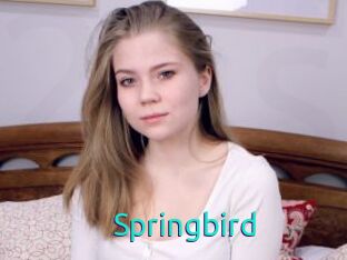 Springbird