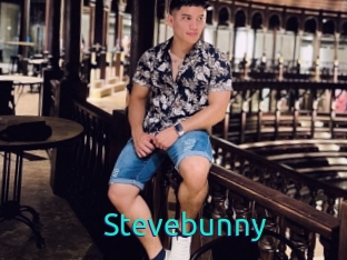 Stevebunny