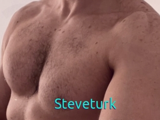 Steveturk