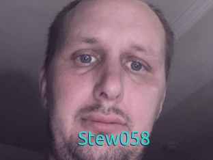 Stew058